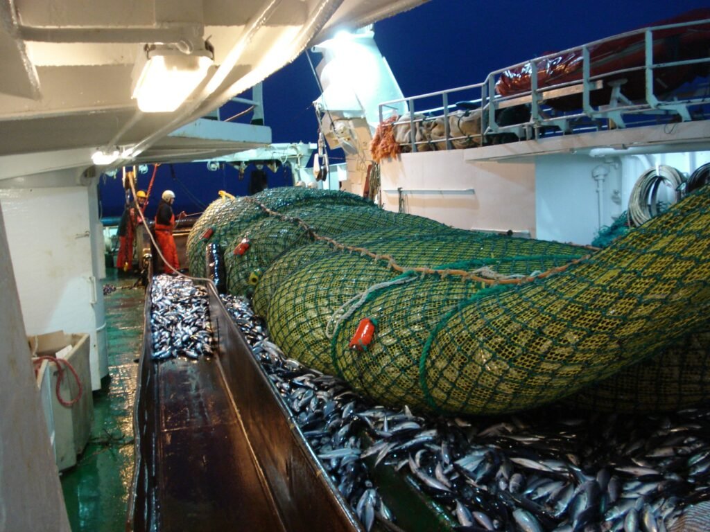 filets de pêche en action