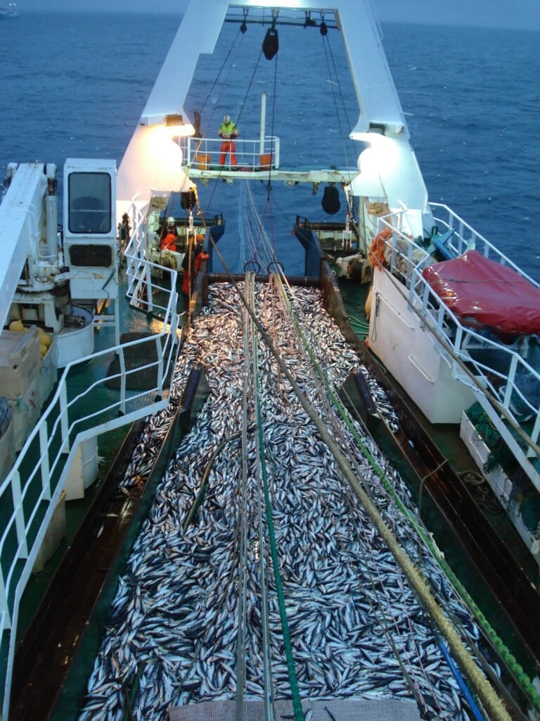 Filet de pêche en haute mer capturant des poissons