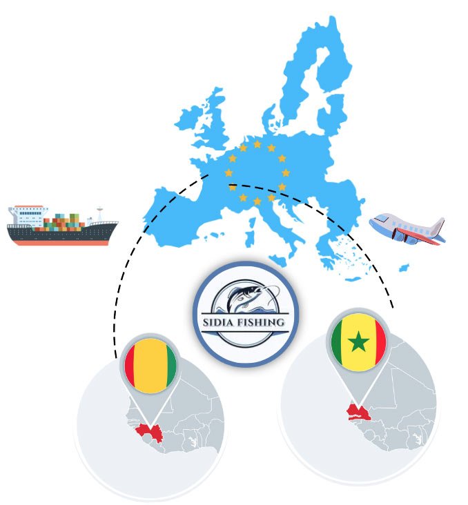 sidia fishing importation exportation poisson-europe